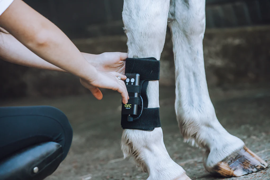 ARC Equine Therapy System - Image 4