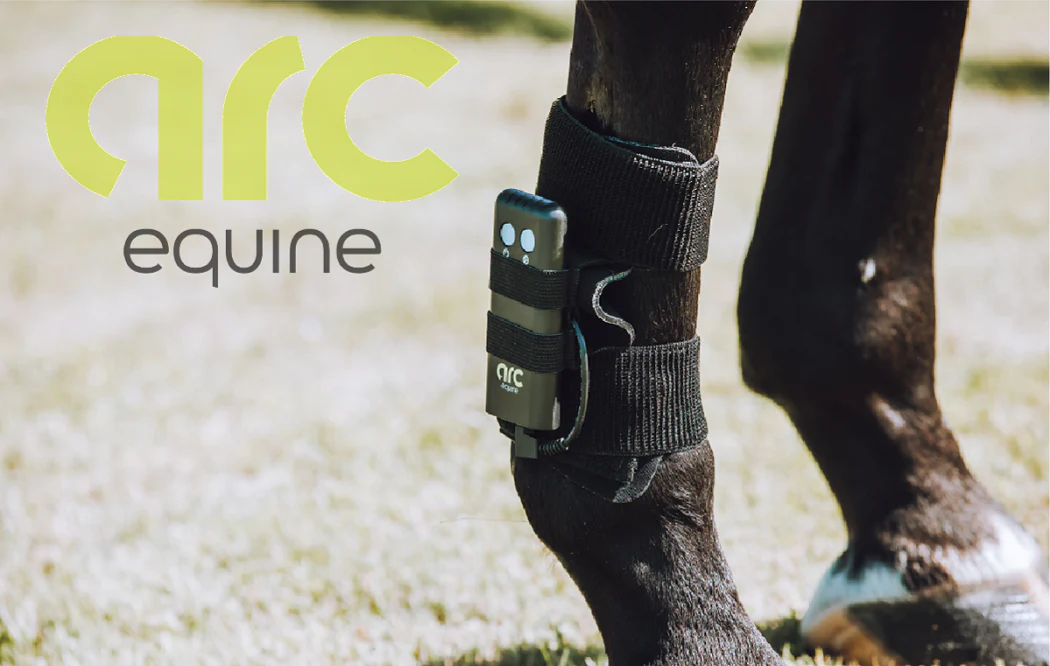 ARC Equine Therapy System Charger - Image 2