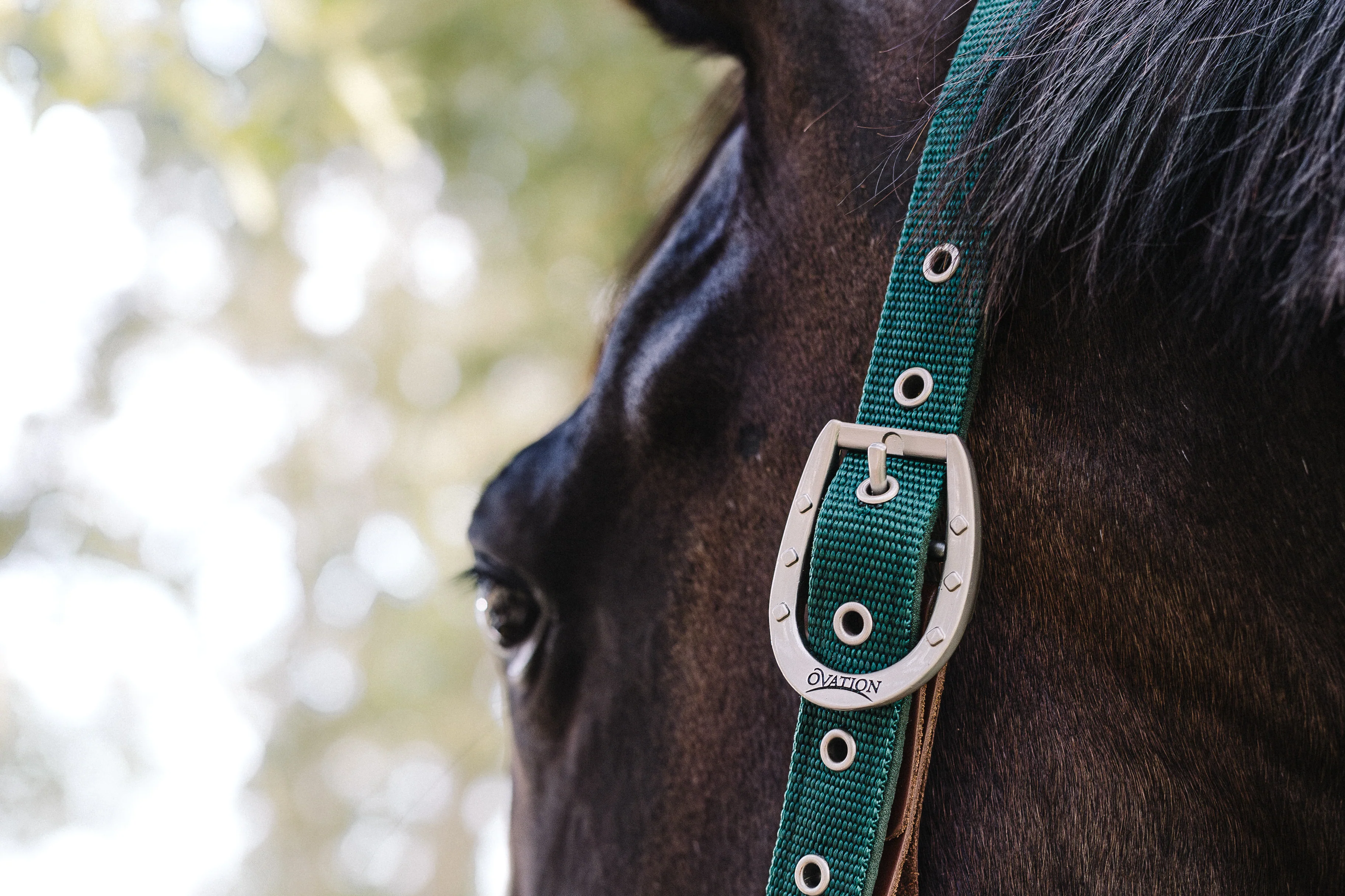 Color Collection by Ovation® Lucky Adjustable Breakaway Halter - Hunter - Image 2