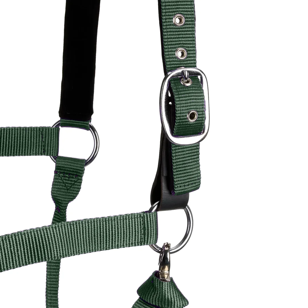 Color Collection by Ovation® Lucky Adjustable Breakaway Halter - Hunter - Image 3